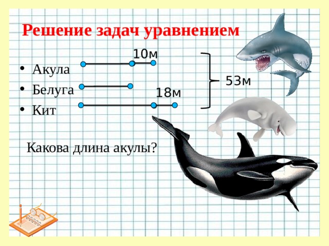 Решение задач уравнением 10м Акула Белуга Кит 53м 18м Какова длина акулы?