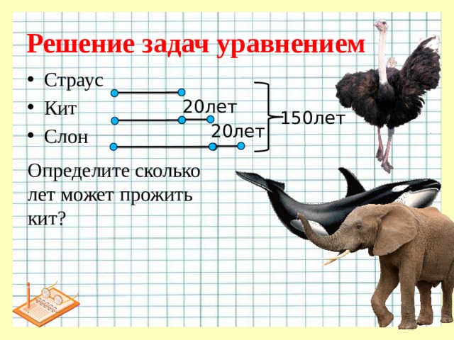 Решение задач уравнением Страус Кит Слон 20лет 150лет 20лет Определите сколько лет может прожить кит?