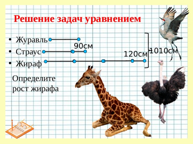 Решение задач уравнением Журавль Страус Жираф 90см 1010см 120см Определите рост жирафа