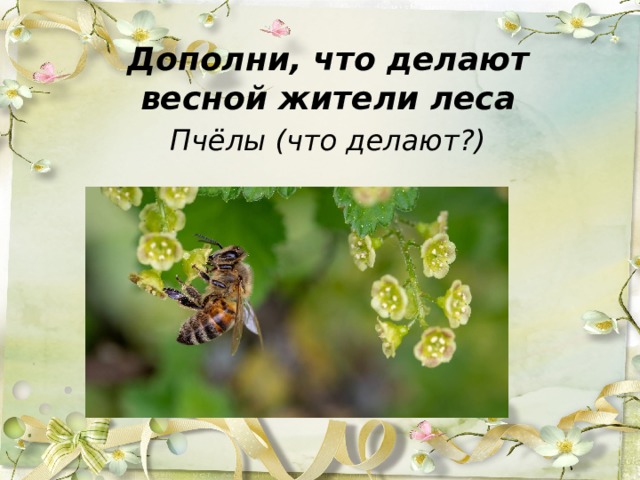 Дополни, что делают весной жители леса Пчёлы (что делают?)   