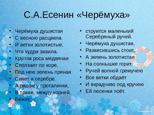 План анализа стихотворения черемуха есенин. Стих черемуха. Есенин черемуха книга. Черемуха фото стих Есенина. Стихи Есенина 4 класс 5 куплетов.