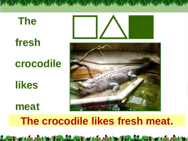  The  fresh  crocodile  likes  meat  The crocodile likes fresh meat.  