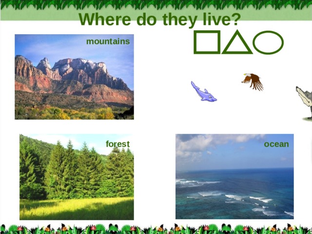 Where do they live? mountains forest ocean 