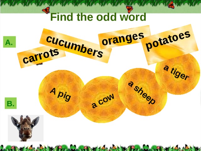 A pig  a cow  a sheep a tiger   carrots   cucumbers   oranges   potatoes   Find the odd word А. B.  