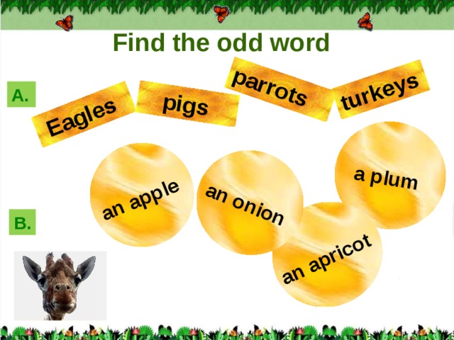 an apple  a plum  an apricot  an onion  Eagles pigs  parrots  turkeys  Find the odd word А. B.  