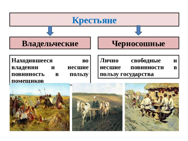 Крестьяне Владельческие Черносошные Находившееся во владении и несшие повинность в пользу помещиков Лично свободные и несшие повинности в пользу государства 