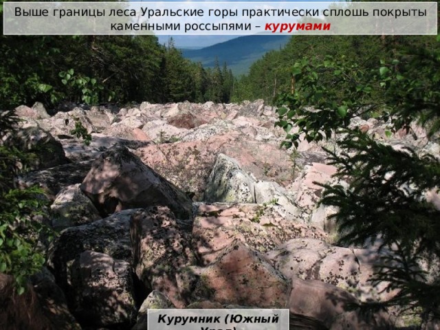 Выше границы леса Уральские горы практически сплошь покрыты каменными россыпями – курумами Курумник (Южный Урал) 