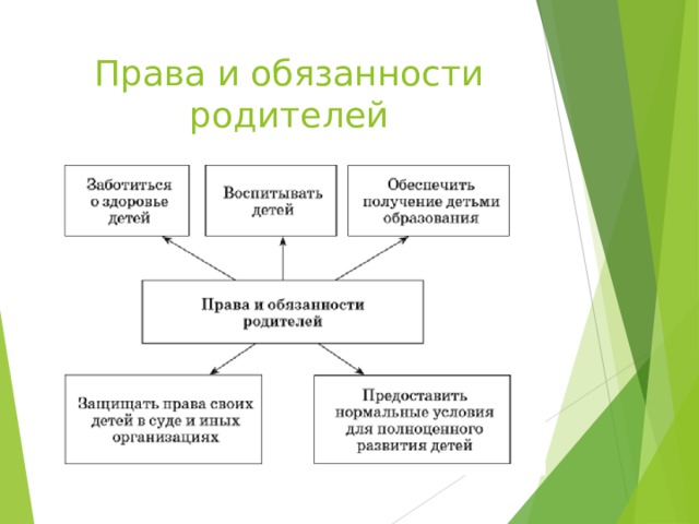 Права и обязанности родителей 