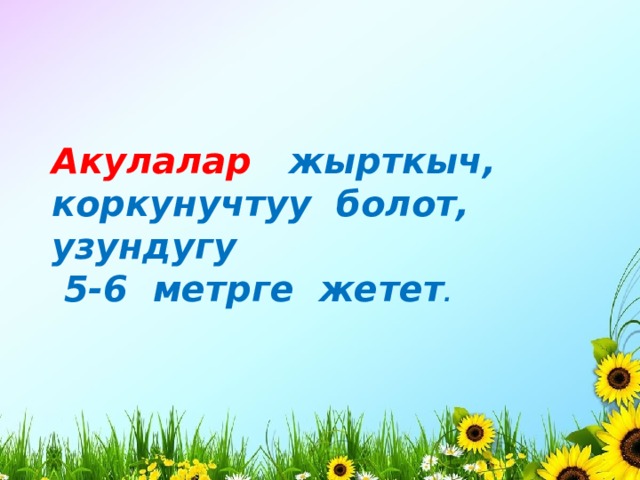 Акулалар жырткыч, коркунучтуу болот, узундугу  5-6 метрге жетет . 