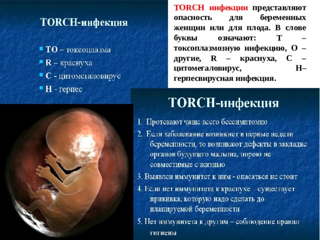 TORCH  инфекции представляют опасность для беременных женщин или для плода. В слове буквы означают: Т – токсоплазмозную инфекцию, О –другие, R – краснуха, С – цитомегаловирус, Н – герпесвирусная инфекция .    