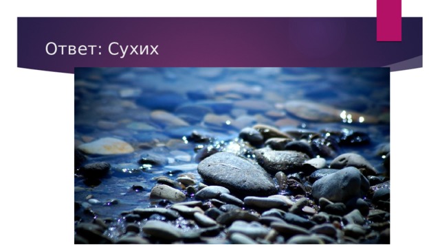 Ответ: Сухих 