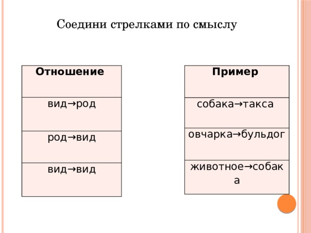 Соедини стрелками по смыслу Отношение Пример вид→род собака→такса род→вид овчарка→бульдог вид→вид животное→собака 