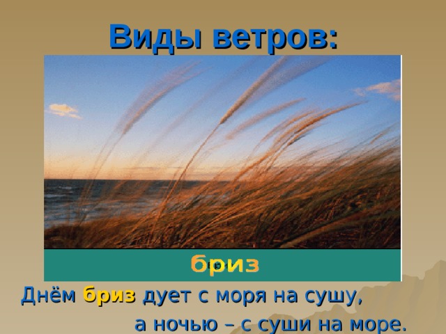 Направление ветра –  это направление, откуда дует ветер (западные дуют с запада, восточные – с востока). 