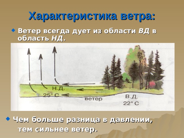 Вы уже знаете, что тёплый воздух более лёгкий, и он поднимается вверх, а более холодный воздух соседних областей перемещается на его место. Движение воздуха является причиной образования известного вам процесса – ветра. 