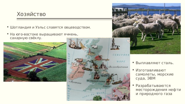 Хозяйство Шотландия и Уэльс славятся овцеводством. На юго-востоке выращивают ячмень, сахарную свёклу. Выплавляют сталь. Изготавливают самолеты, морские суда, ЭВМ Разрабатываются месторождения нефти и природного газа 