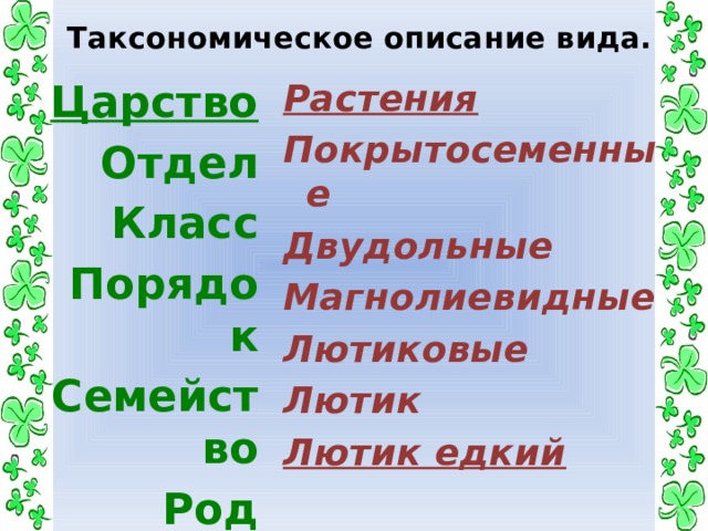 какая самая мелкая единица систематики. Смотреть фото какая самая мелкая единица систематики. Смотреть картинку какая самая мелкая единица систематики. Картинка про какая самая мелкая единица систематики. Фото какая самая мелкая единица систематики