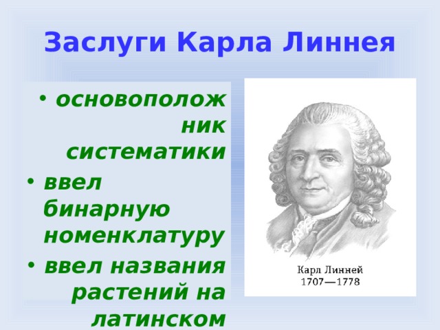 какая самая мелкая единица систематики. Смотреть фото какая самая мелкая единица систематики. Смотреть картинку какая самая мелкая единица систематики. Картинка про какая самая мелкая единица систематики. Фото какая самая мелкая единица систематики