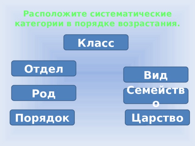 какая самая мелкая единица систематики. Смотреть фото какая самая мелкая единица систематики. Смотреть картинку какая самая мелкая единица систематики. Картинка про какая самая мелкая единица систематики. Фото какая самая мелкая единица систематики