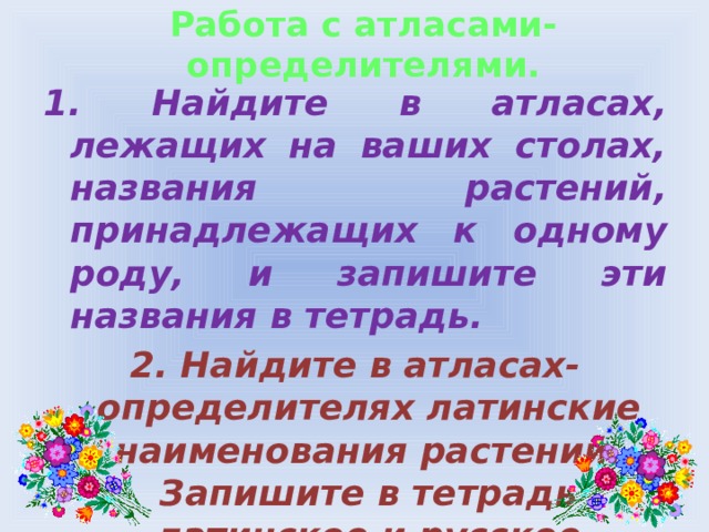 какая самая мелкая единица систематики. Смотреть фото какая самая мелкая единица систематики. Смотреть картинку какая самая мелкая единица систематики. Картинка про какая самая мелкая единица систематики. Фото какая самая мелкая единица систематики