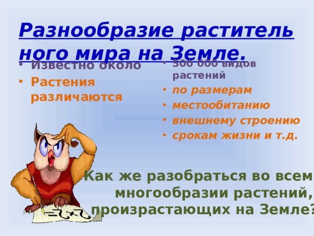какая самая мелкая единица систематики. Смотреть фото какая самая мелкая единица систематики. Смотреть картинку какая самая мелкая единица систематики. Картинка про какая самая мелкая единица систематики. Фото какая самая мелкая единица систематики