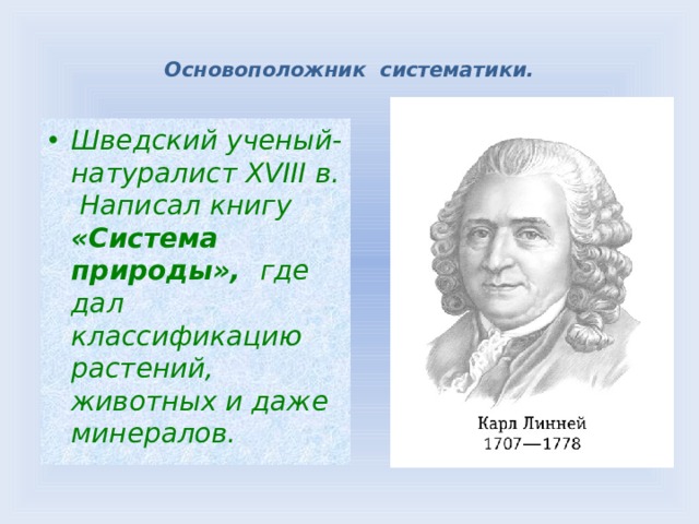 какая самая мелкая единица систематики. Смотреть фото какая самая мелкая единица систематики. Смотреть картинку какая самая мелкая единица систематики. Картинка про какая самая мелкая единица систематики. Фото какая самая мелкая единица систематики