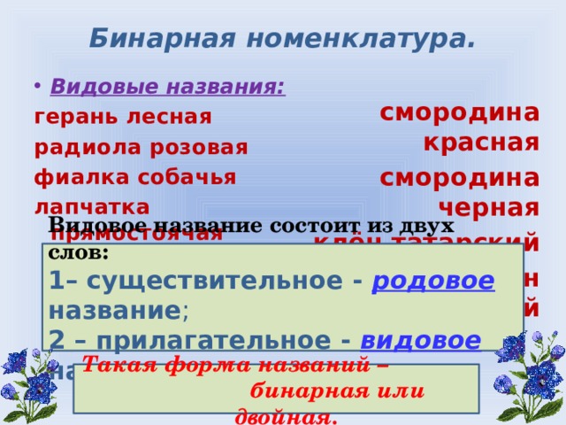 Бинарная номенклатура. Видовые названия: герань лесная радиола розовая фиалка собачья лапчатка прямостоячая смородина красная смородина черная клён татарский клён остролистный Видовое название состоит из двух слов: 1– существительное - родовое название ; 2 – прилагательное - видовое название. Такая форма названий – бинарная или двойная.