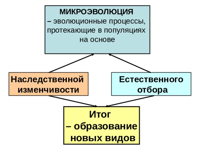 МИКРОЭВОЛЮЦИЯ – эволюционные процессы, протекающие в популяциях на основе Наследственной изменчивости Естественного  отбора Итог – образование  новых видов 