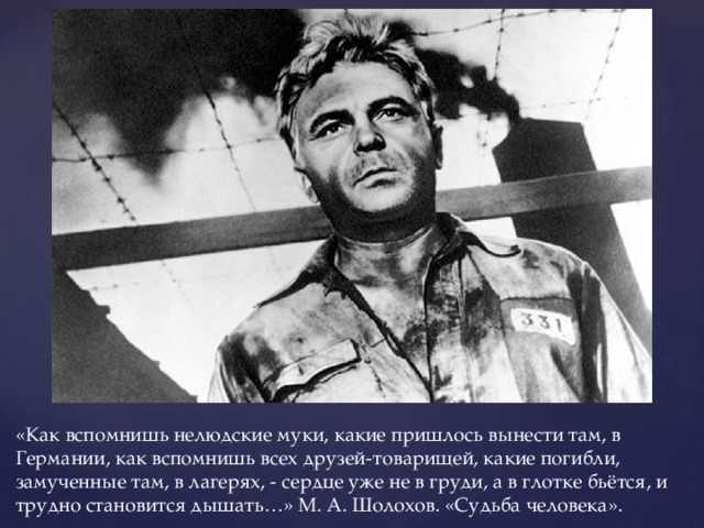 «Как вспомнишь нелюдские муки, какие пришлось вынести там, в Германии, как вспомнишь всех друзей-товарищей, какие погибли, замученные там, в лагерях, - сердце уже не в груди, а в глотке бьётся, и трудно становится дышать…» М. А. Шолохов. «Судьба человека». 