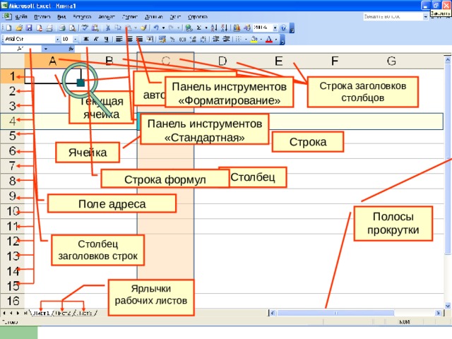 Маркер автозаполнения Панель инструментов «Форматирование» Строка заголовков столбцов Текущая ячейка Панель инструментов «Стандартная» Строка Ячейка Столбец Строка формул Поле адреса Полосы прокрутки Столбец заголовков строк Ярлычки рабочих листов 