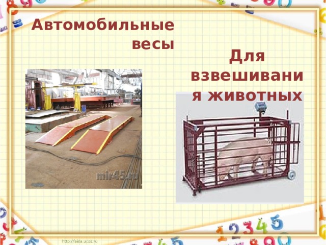 Автомобильные весы Для взвешивания животных 