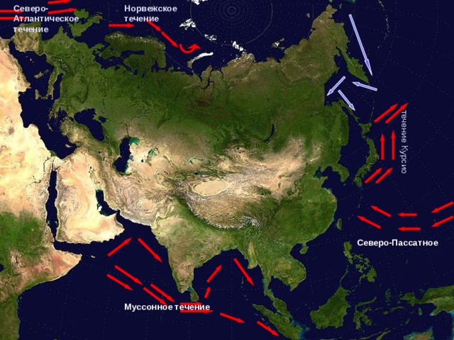 Северо-Атлантическое  течение Норвежское течение течение Курсио Северо-Пассатное Муссонное течение 