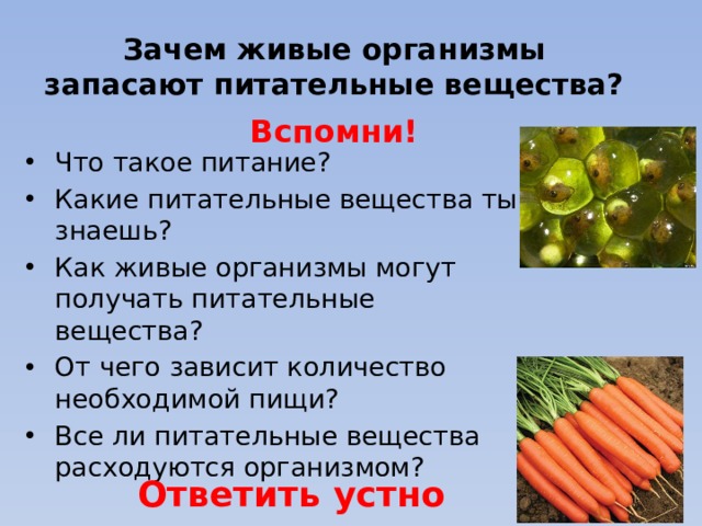 Запасающие вещества