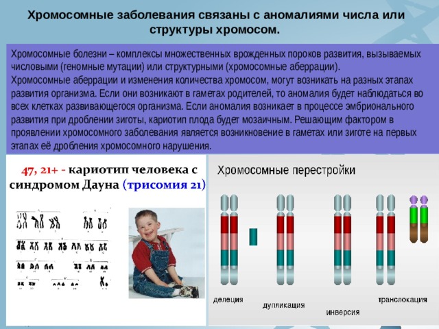 Хромосомные аберрации