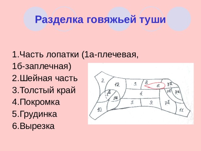 Схема разделки говяжьей туши с названиями