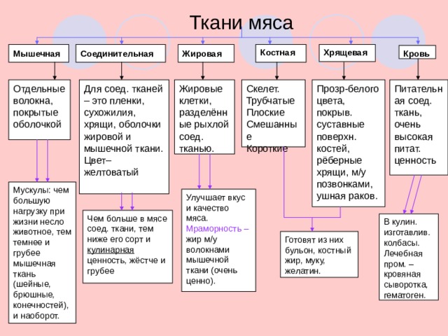 Ткани мяса