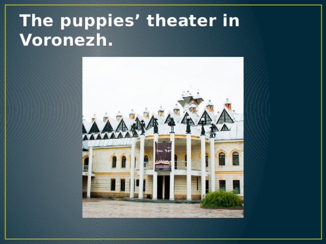 The puppies’ theater in Voronezh. 