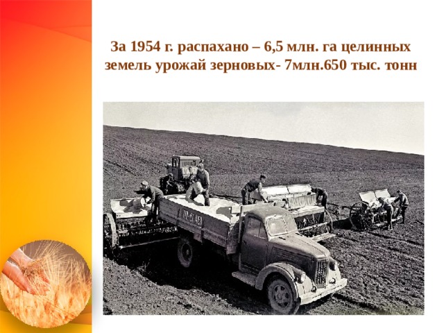  За 1954 г. распахано – 6,5 млн. га целинных земель урожай зерновых- 7млн.650 тыс. тонн   