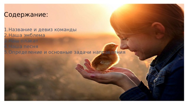 Содержание:   1.Название и девиз команды 2.Наша эмблема 3.Наш плакат 4.Наша песня 5.Определение и основные задачи направления 