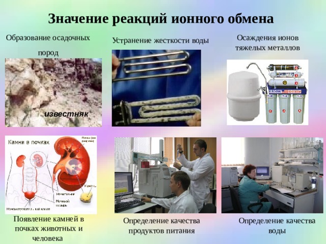 Значение реакций ионного обмена  Образование осадочных  пород  Осаждения ионов тяжелых металлов Устранение жесткости воды известняк Появление камней в почках животных и человека  Определение качества воды Определение качества продуктов питания  