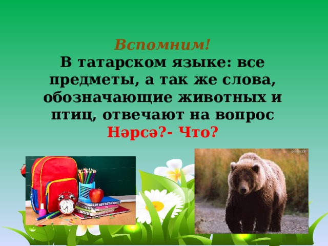 Вспомним! В татарском языке: все предметы, а так же слова, обозначающие животных и птиц, отвечают на вопрос Нәрсә?- Что? 