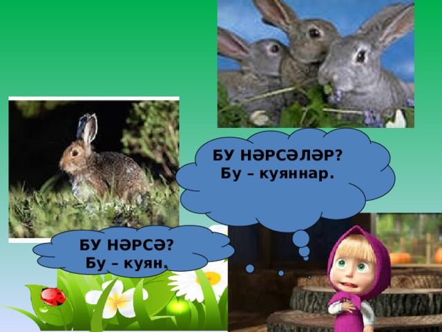 БУ НӘРСӘЛӘР? Бу – куяннар. БУ НӘРСӘ? Бу – куян. 