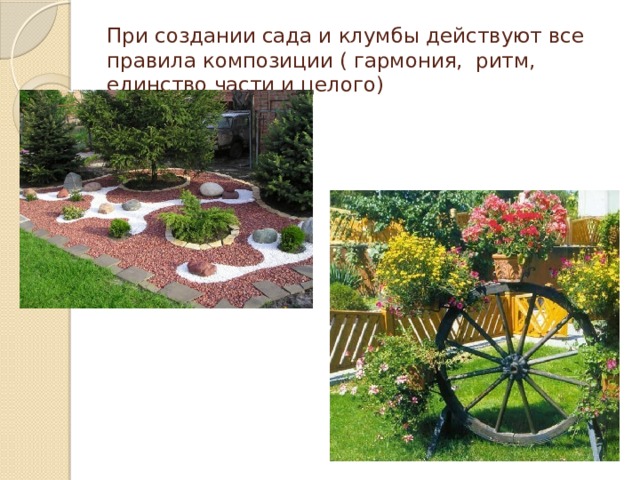 При создании сада и клумбы действуют все правила композиции ( гармония, ритм, единство части и целого)