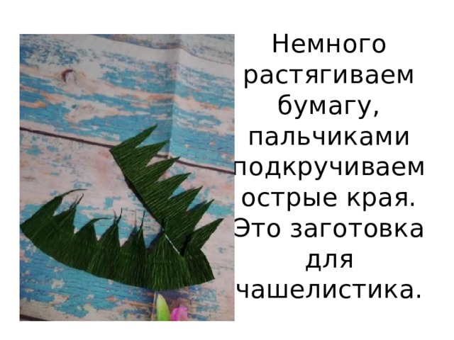 Немного растягиваем бумагу, пальчиками подкручиваем острые края. Это заготовка для чашелистика. 