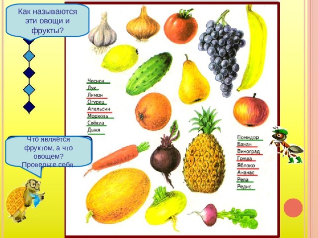 Как называются эти овощи и фрукты? Что является фруктом, а что овощем? Проверьте себя. 