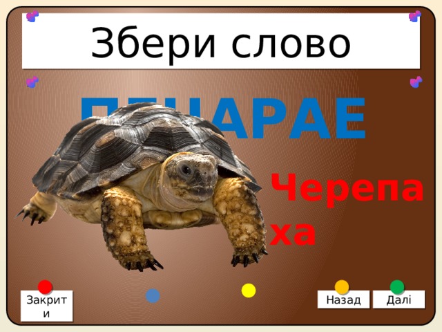 Збери слово ПЕЧАРАЕХ Черепаха Закрити Назад Далі 