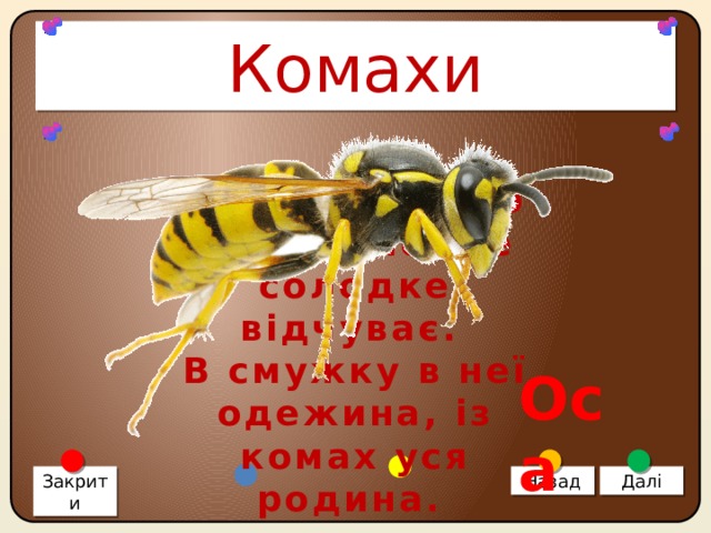 Комахи Фрукти, цукор полюбляє, де солодке відчуває. В смужку в неї одежина, із комах уся родина. Оса Закрити Назад Далі 