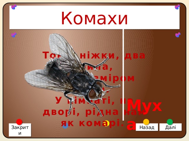 Комахи Тонкі ніжки, два крила, і за розміром мала. У кімнаті, на дворі, рідна нам як комарі. Муха Закрити Назад Далі 