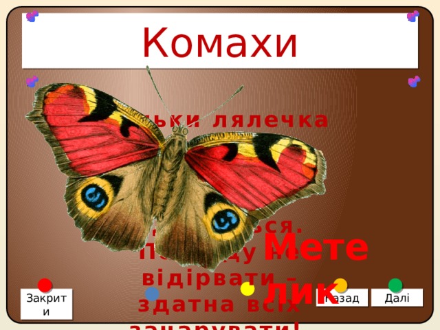 Комахи Тільки лялечка проснеться – враз у шати одягнеться. Погляду не відірвати – здатна всіх зачарувати! Метелик Закрити Назад Далі 