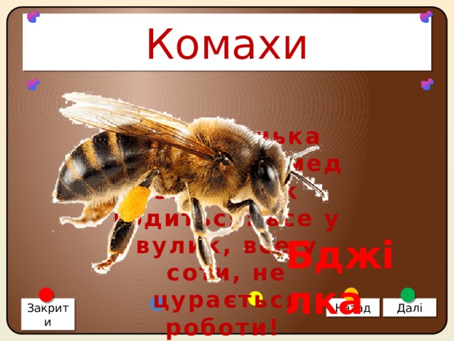Комахи Ця маленька трудівниця мед збирає як годиться: все у вулик, все у соти, не цурається роботи! Бджілка Закрити Назад Далі 