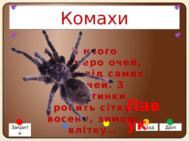 Комахи В нього восьмеро очей, ніжки від самих плечей. З павутинки робить сітку: восени, зимою, влітку… Павук Закрити Назад Далі 